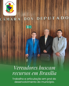 Vereadores buscam recursos em Brasília